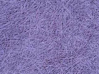 1736219822561903.jpg 1531375499129242.jpg